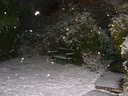 snowy back garden
