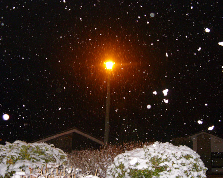 snowy street lamp